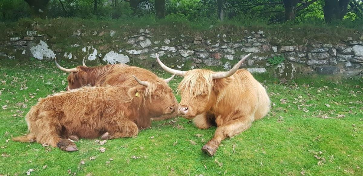 Holiday home The Old Post Office A Cosy Rural Gem - Dartmoor Widecombe in the Moor